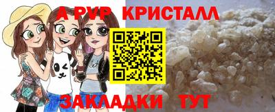 молекула духа Пугачёв