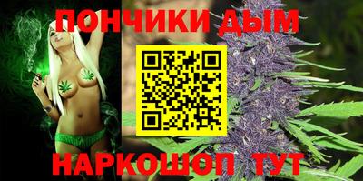 молекула духа Пугачёв