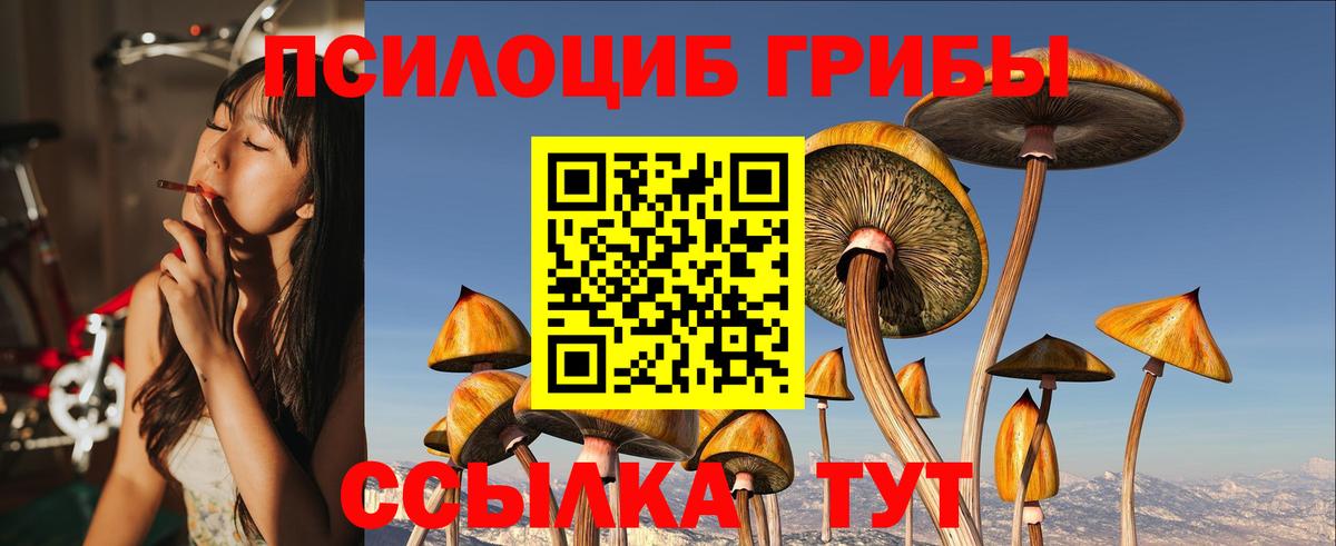 как найти закладки  Вход с VPN  Щёлково  Псилоцибиновые грибы MAGIC MUSHROOMS 